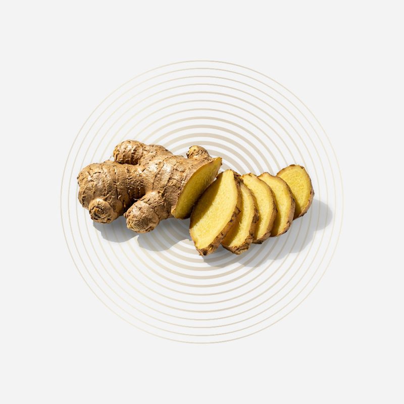 Fresh ginger root and sliced ginger for health supplements.